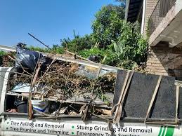 Best Shed Removal  in Shell Valley, ND